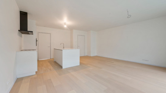 Wijnveld - 4D - - B0 0.2 - 9112