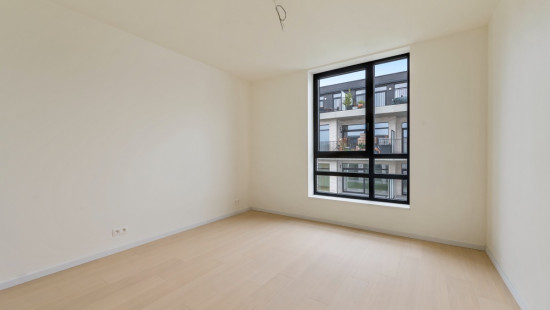 Wijnveld - 4D - - B0 0.2 - 9112