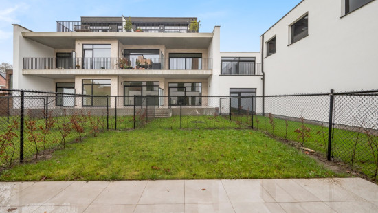 Wijnveld - 4D - - B0 0.2 - 9112