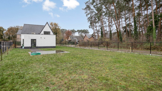 Baalsebaan - 101 - - 3120