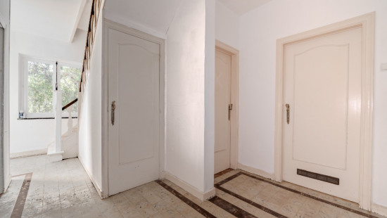 Rue des Loups - 1 - - 4520