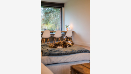 Ganzemeerstraat - 15 - - 9150