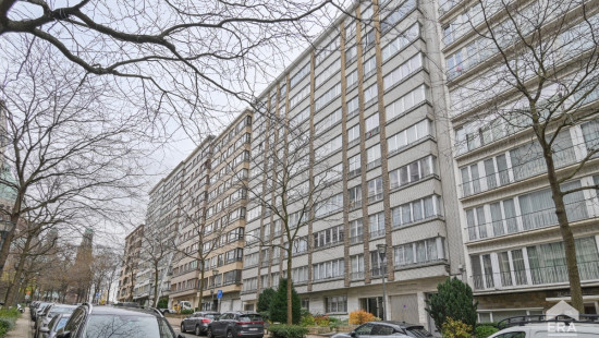 Avenue de la Basilique - 379 - 7 - 1000