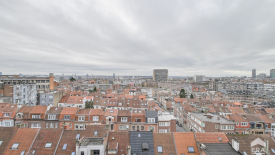 Avenue de la Basilique - 379 - 7 - 1000