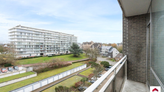 Leeuwerikenstraat - 41 - 503 - 3001