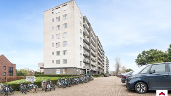 Leeuwerikenstraat - 41 - 503 - 3001