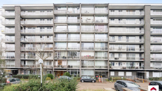 Leeuwerikenstraat - 41 - 503 - 3001