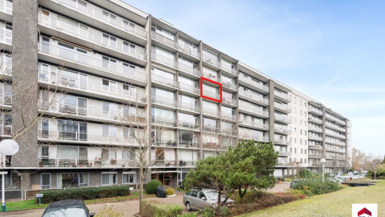 Leeuwerikenstraat - 41 - 503 - 3001