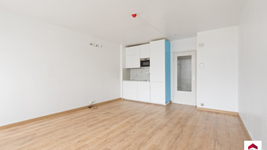 Leeuwerikenstraat - 41 - 503 - 3001