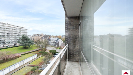 Leeuwerikenstraat - 41 - 503 - 3001