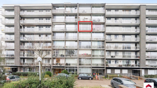 Leeuwerikenstraat - 41 - 503 - 3001