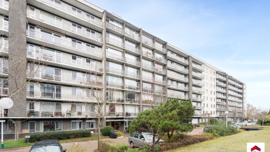 Leeuwerikenstraat - 41 - 503 - 3001