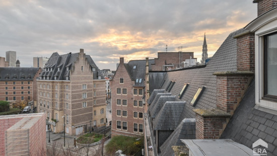 Rue de la Montagne - 11 - 5 - 1000