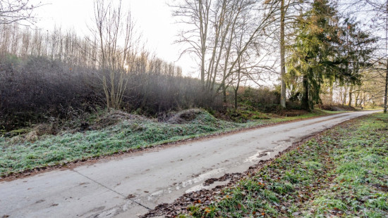 Rue du Mont - 0 - - 6887