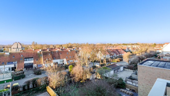 Albert I laan (Triniteyt) - 77 - - 8620