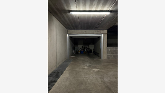 Wilgenpad - 1 - G17 - 8660