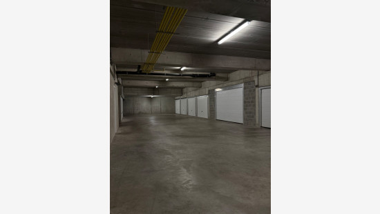 Wilgenpad - 1 - G17 - 8660