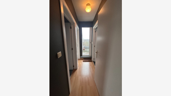 Oude Markt - 18 - 4 - 3900