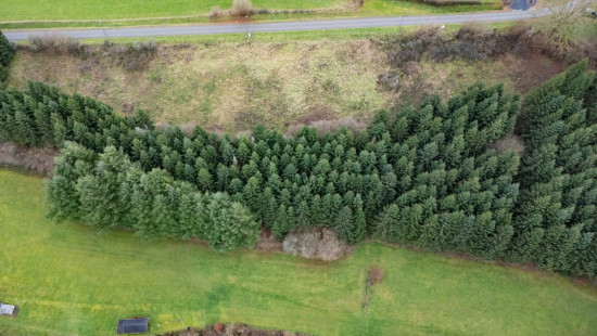 Chemin de Florêt - LOT 3 - - 4990