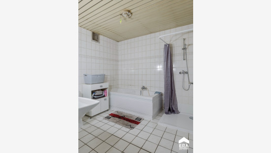 Omlooplaan - 32 - - 3600