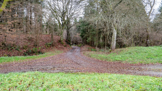 Chemin de Florêt - LOT 4 - - 4990