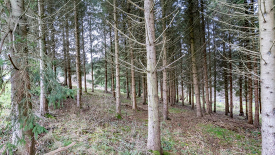 Chemin de Florêt - LOT 2 - - 4990