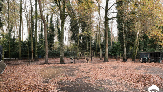 Omlooplaan - 32 - - 3600