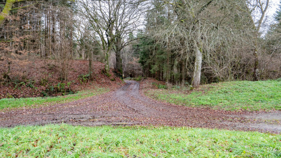 Chemin de Florêt - LOT 5 - - 4990