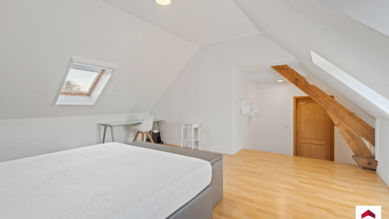 Snikbergstraat - 10 - - 1700