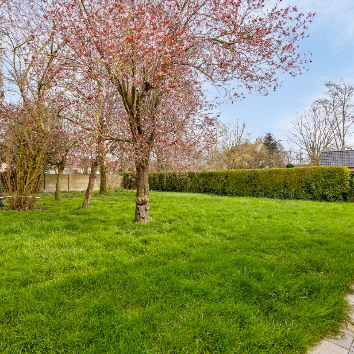 Pastoor termotestraat - 12 - - 8750