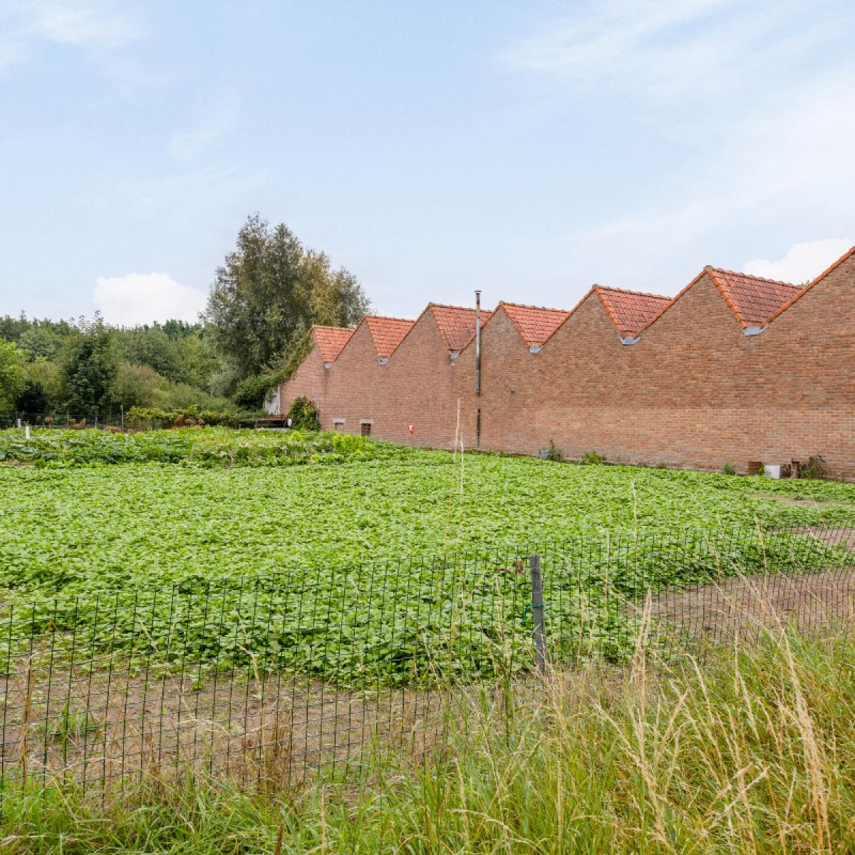 Heirweg - 42 - - 8710