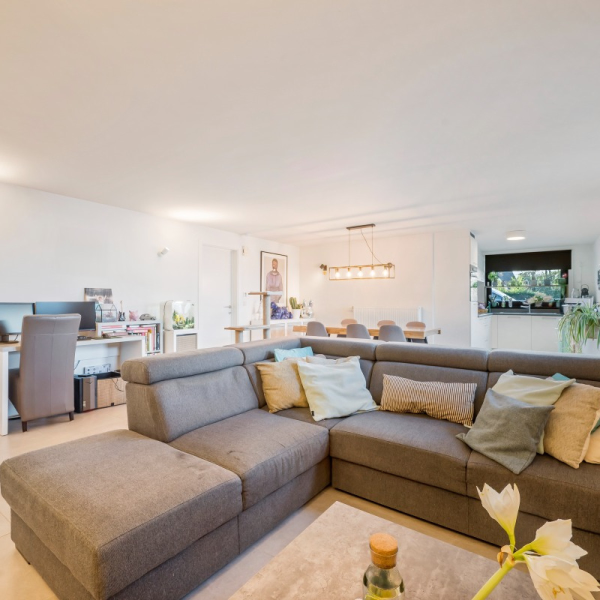 Romain Steppestraat - 82 - - 2890