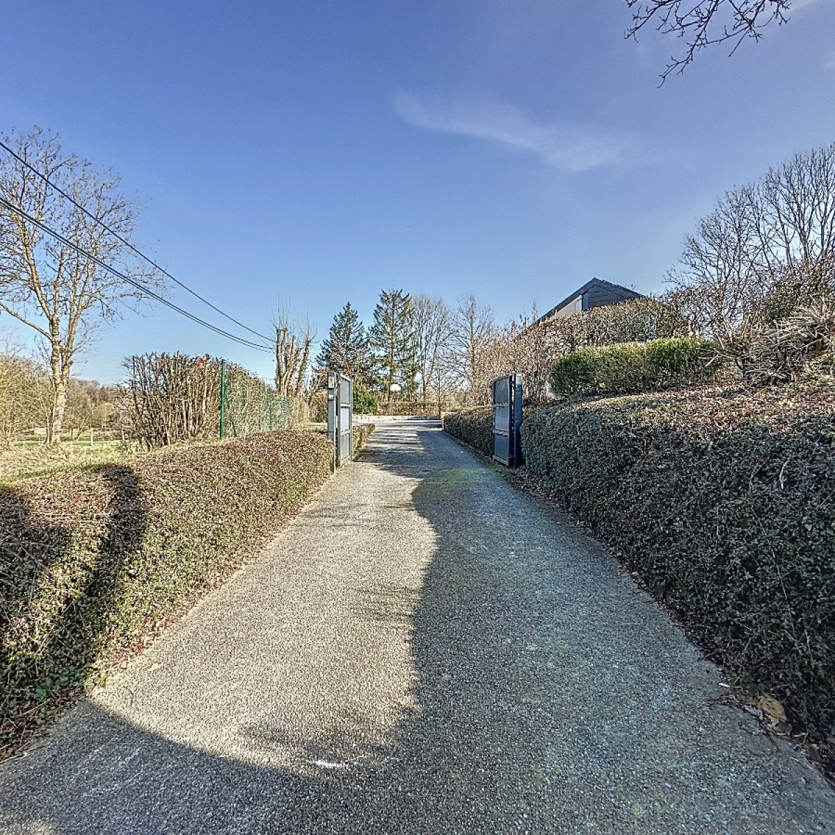 rue du doyard - 22 - - 4141